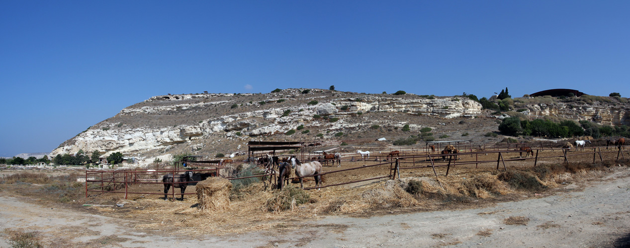 Panorama 60.jpg